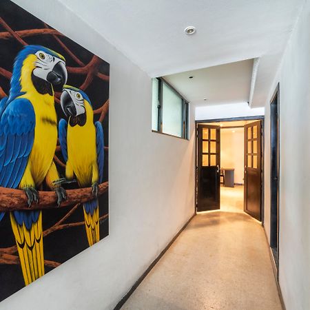 Hotel Elegant Suite Bogota Buitenkant foto